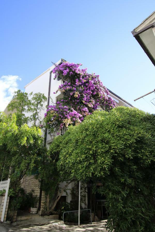 Villa Grozdic Makarska Dış mekan fotoğraf